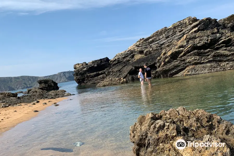 Playa de Verdicio