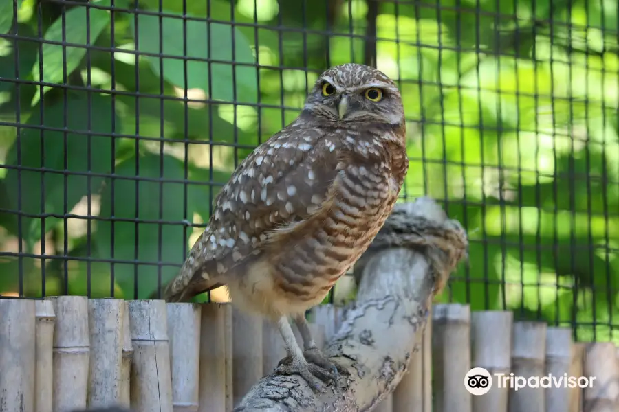 Brandywine Zoo