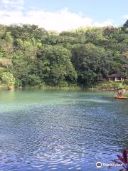 Butterfly Sanctuary at Mambukal Resort