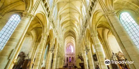 蘇瓦松主教座堂