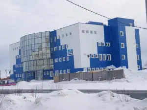 Дельфин