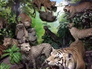 拉瑪特國際野生動物博物館