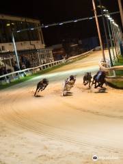 Sunderland Greyhound Stadium