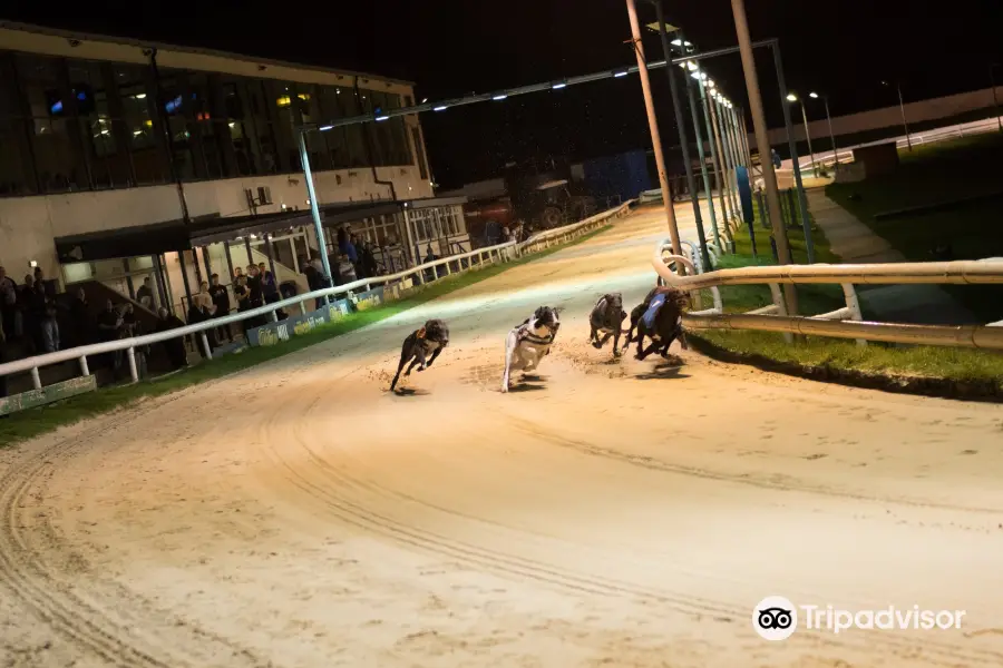 Sunderland Greyhound Stadium