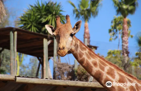 Selwo Aventura門票長者