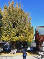 姪浜住吉神社