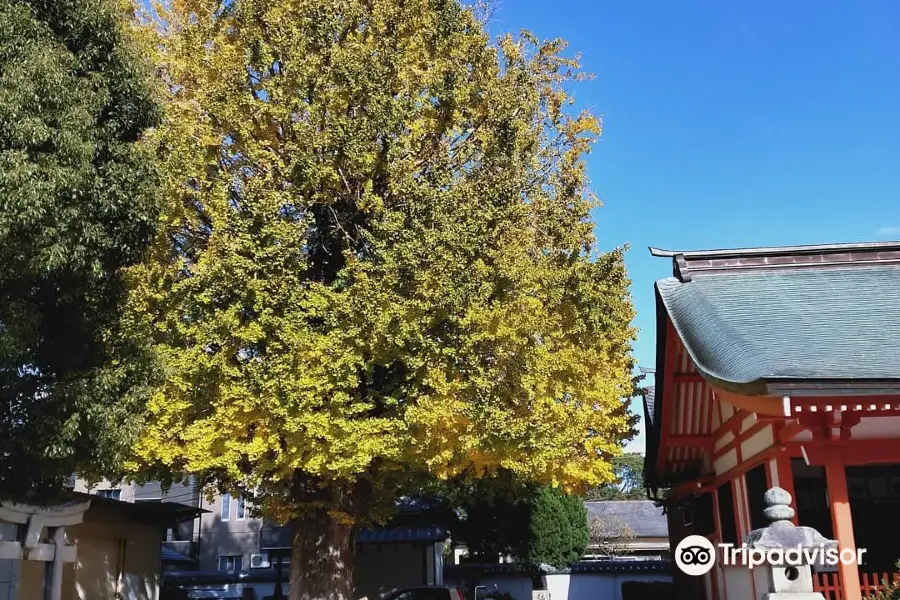 Meinohama Sumiyoshi Shrine