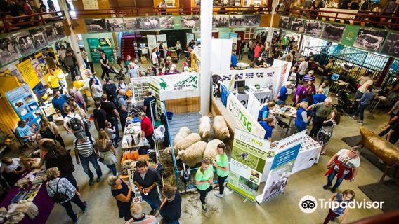 Dyrsku'n Arrangement AS