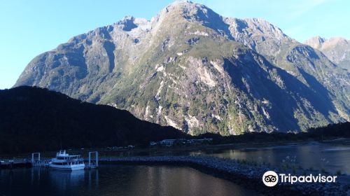 Milford Foreshore Walk