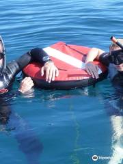 Freedive Dubrovnik