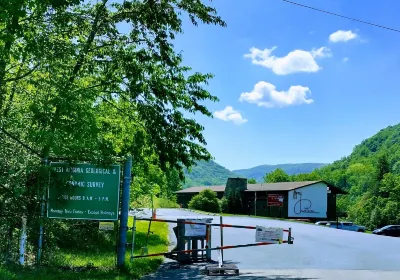 Cheat Lake