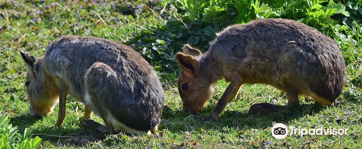 Badgers Hill Farm & Cidery