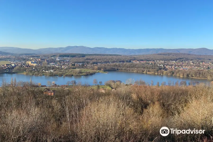 Etang des Forges