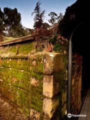 Coal Mines Historic Site