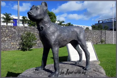 São Miguel Cattle Dog Statue