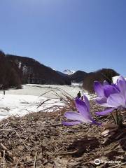 Lago Pratignano