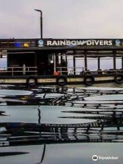 Rainbow Divers