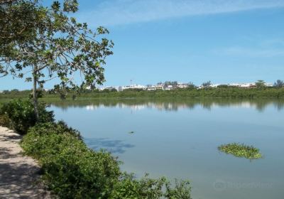 Chico Mendes Ecological Park