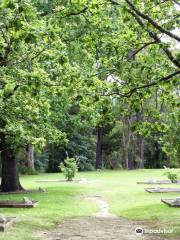 Corridor Of Oaks Park