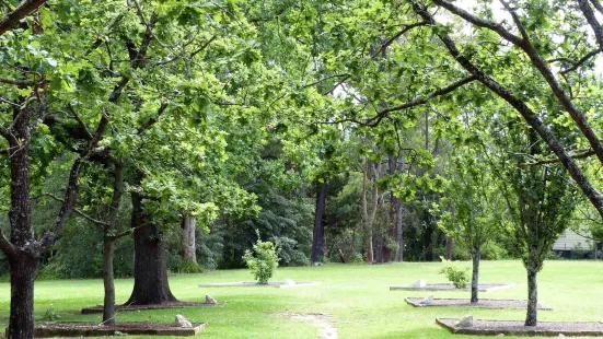 Corridor Of Oaks Park