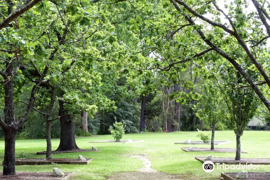 Corridor Of Oaks Park