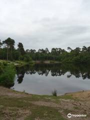 Streekpark Klein Oisterwijk