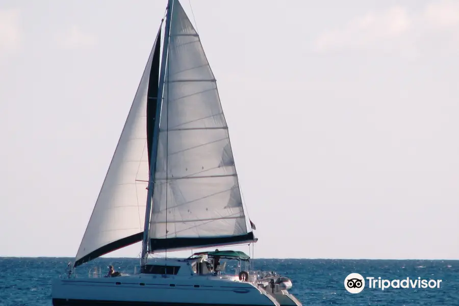 Catamaran Sailing Antigua