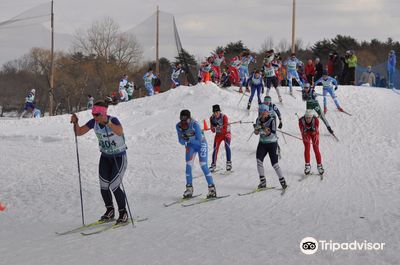 Weston Ski Track
