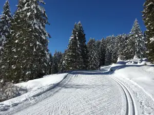 Centro Fondo Campolongo