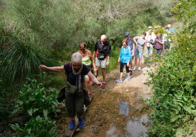 Torrent De Santa Ponca Trail