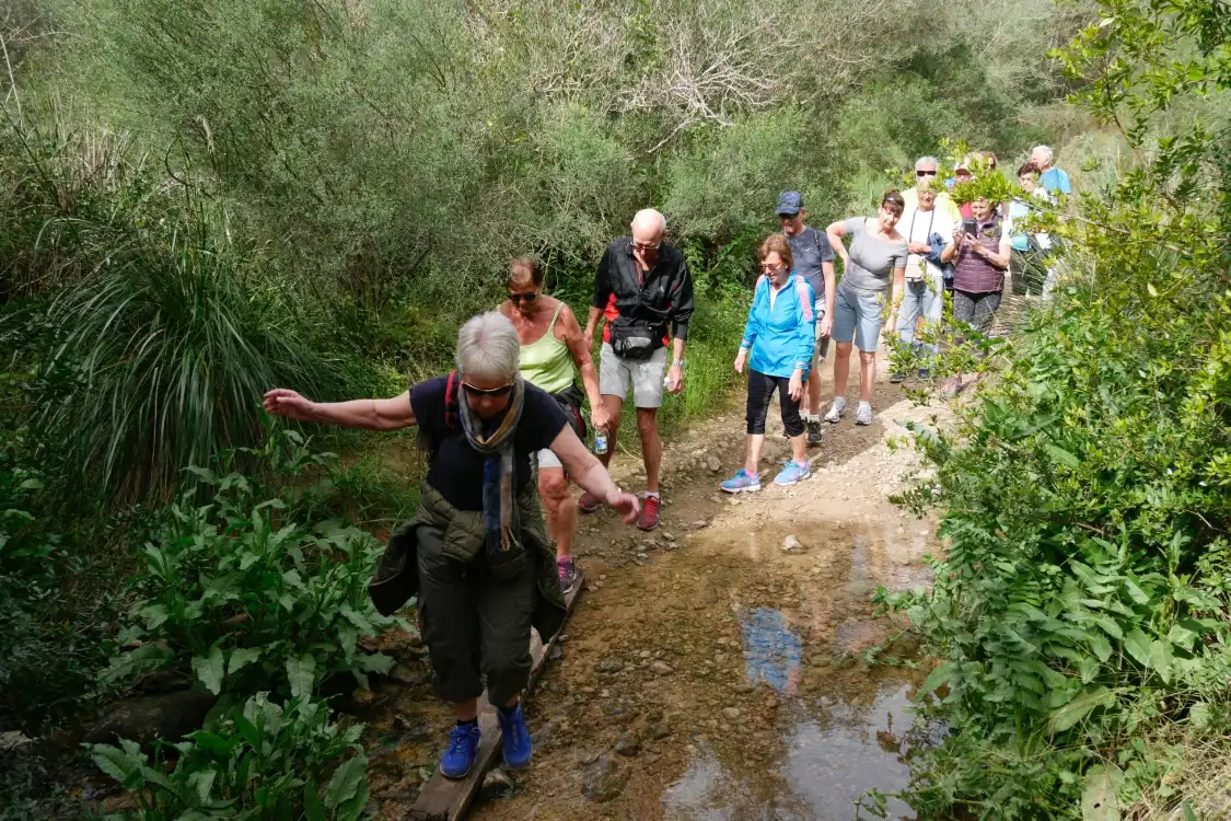 Hotels near Torrent De Santa Ponca Trail