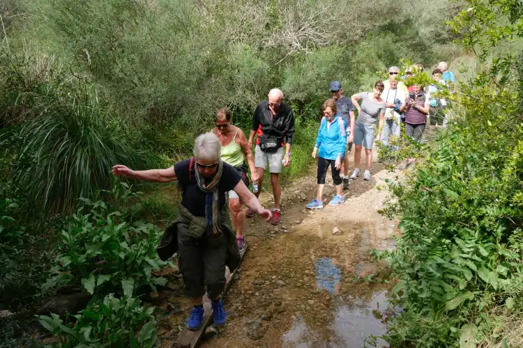 Hotels near Torrent De Santa Ponca Trail