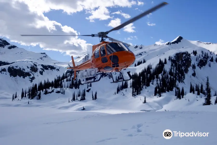 Glacier Helicopters Ltd.
