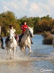 Les Tamaris Promenades à Cheval