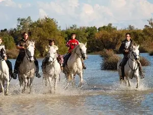 Les Tamaris Promenades à Cheval