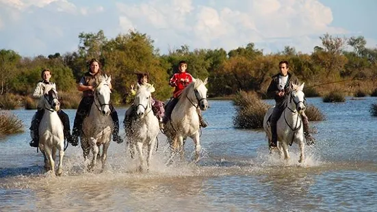 Tamaris Promenade a Cheval