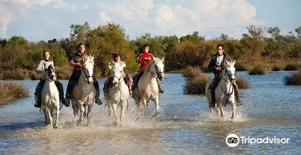 Les Tamaris Promenades à Cheval