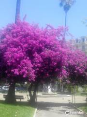 Place Alziary de Malaussena