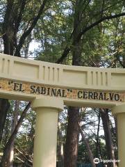 Parque Nacional El Sabinal