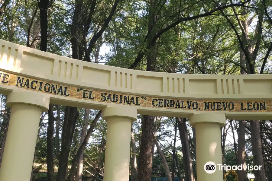 Parque Nacional El Sabinal