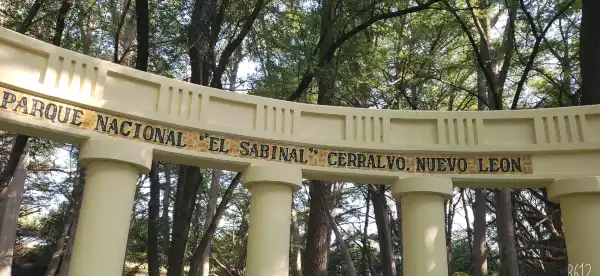 Hotéis em Apodaca