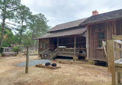 Georgia Museum of Agriculture & Historic Village