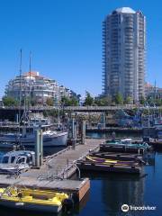 Harbourfront Walkway