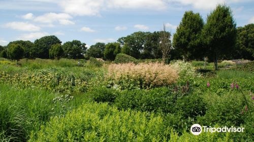 Sussex Prairies Garden