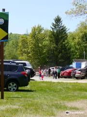 Kittatinny Canoes