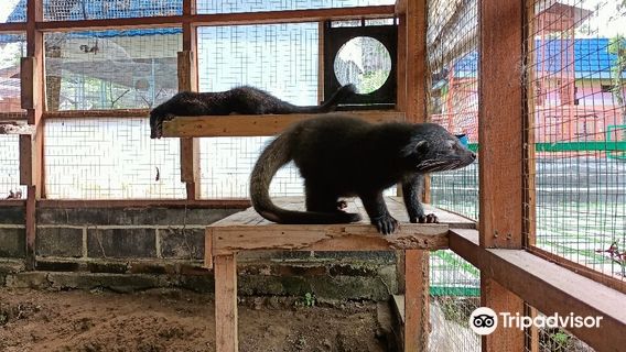 Agro Tourism Bhumi Merapi