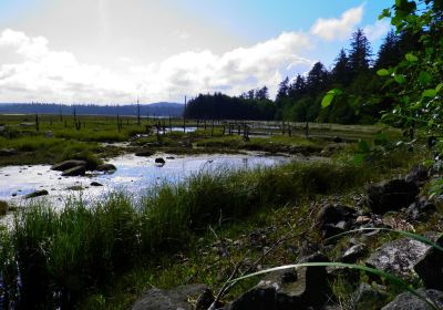 Delkatla Nature Sanctuary