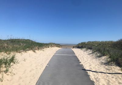 Breakwater Beach