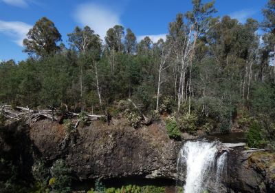 Tarraleah Falls