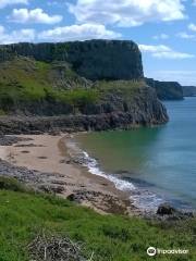 Fall Bay